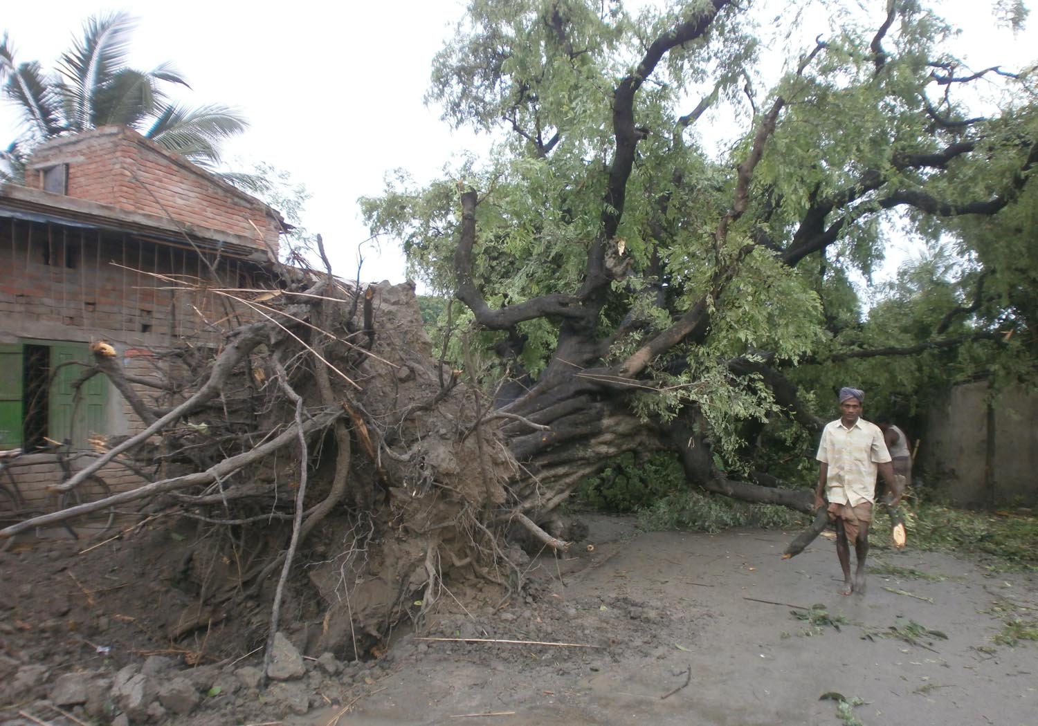 Chandbill Tornado